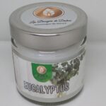 Bougie senteur eucalyptus
